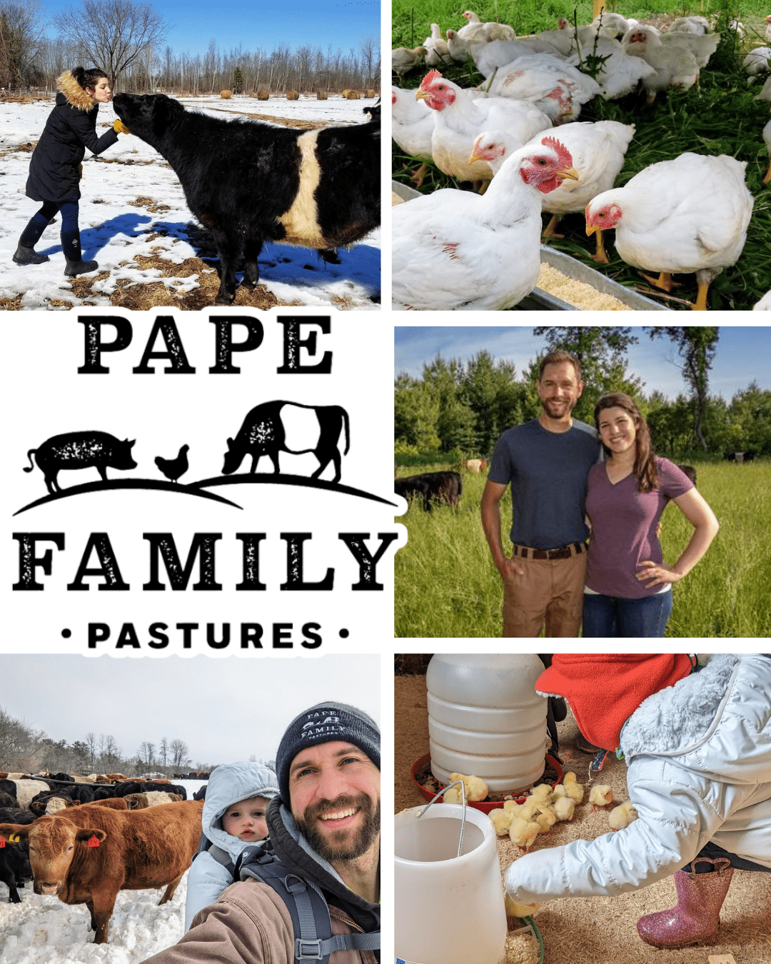 Pape Family Pastures