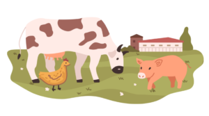 farm animal quality of life