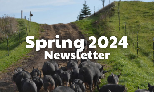 Spring 2024 Newsletter