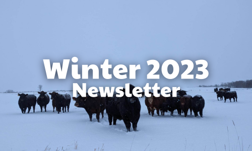 Winter 2023 Newsletter