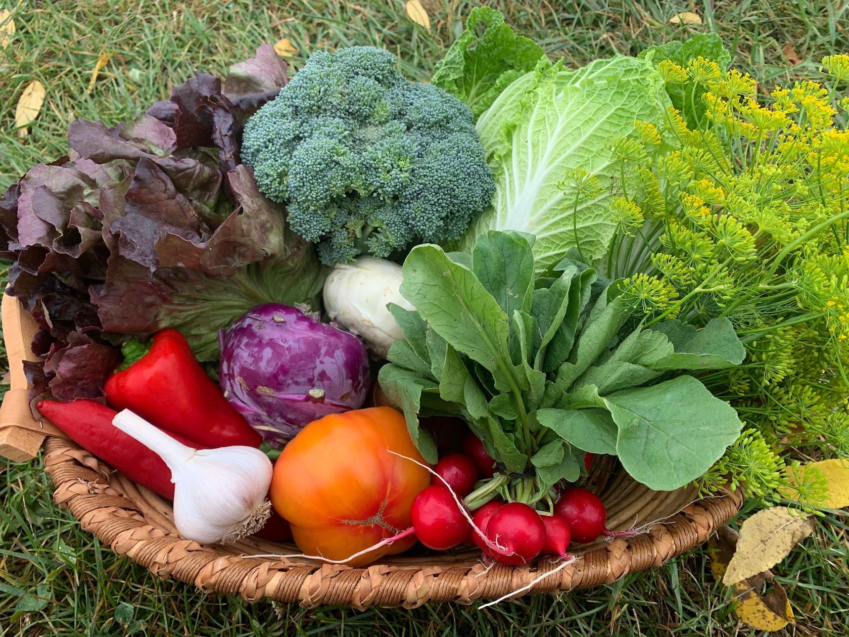 Veggie CSA Box