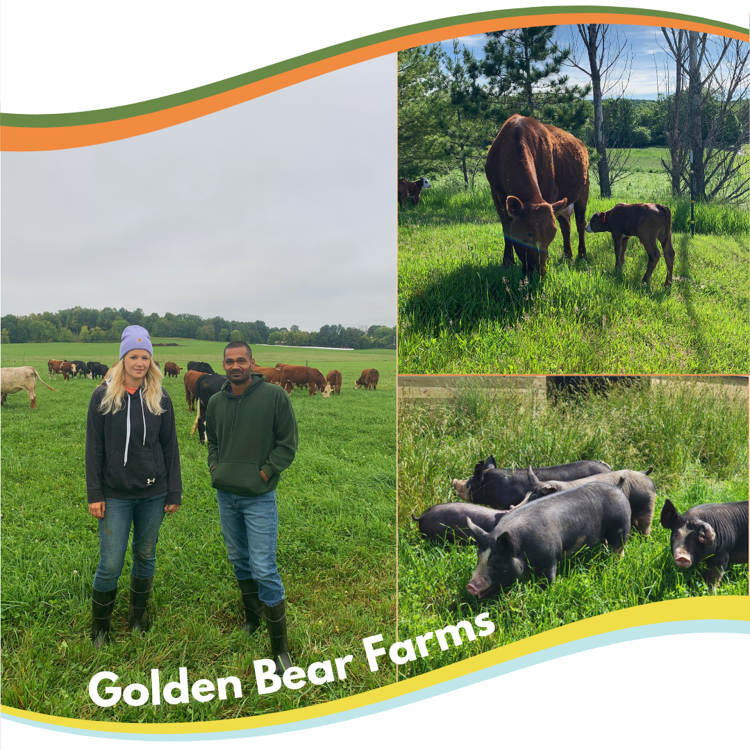 Golden Bear Farms Event Gold Bear Farms Field Days