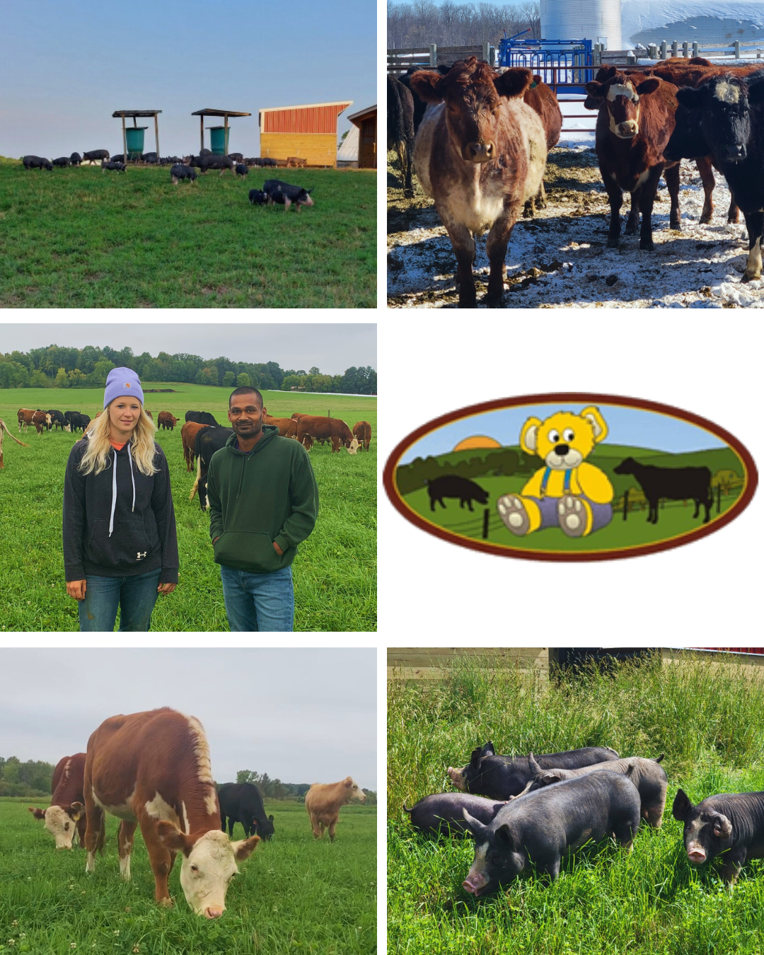 Golden Bear Farms in Kiel WI and Black Creek WI