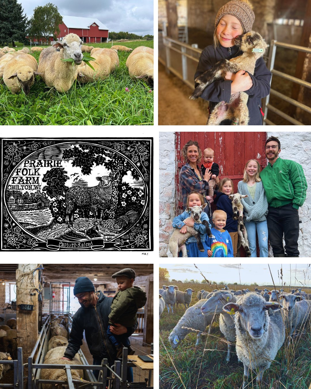 Prairie Folk Farm in Chilton WI with SLO Farmers Co-op