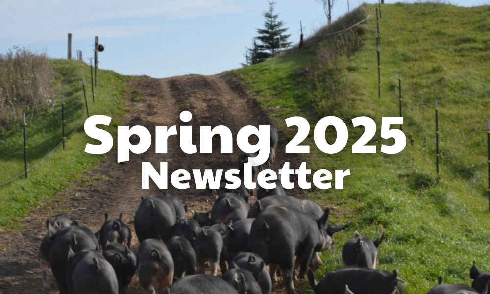 Spring 2025 Newsletter