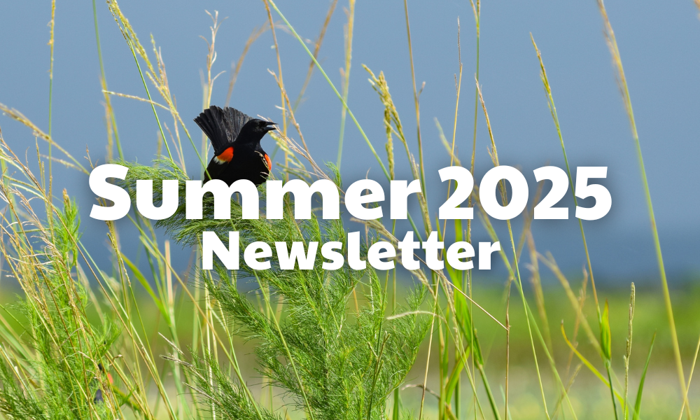 Summer 2025 Newsletter