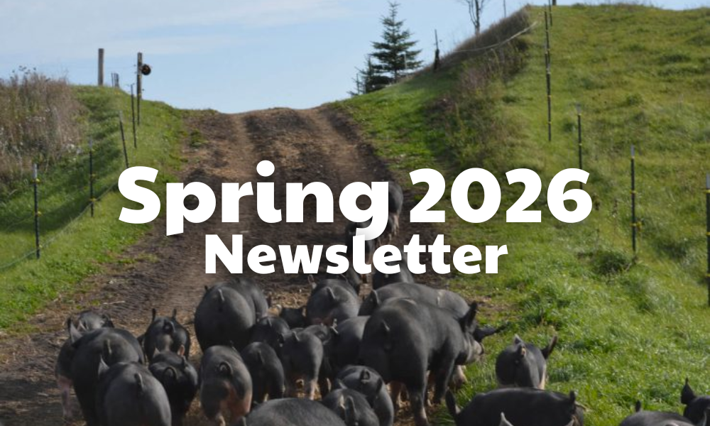 Spring 2026 Newsletter
