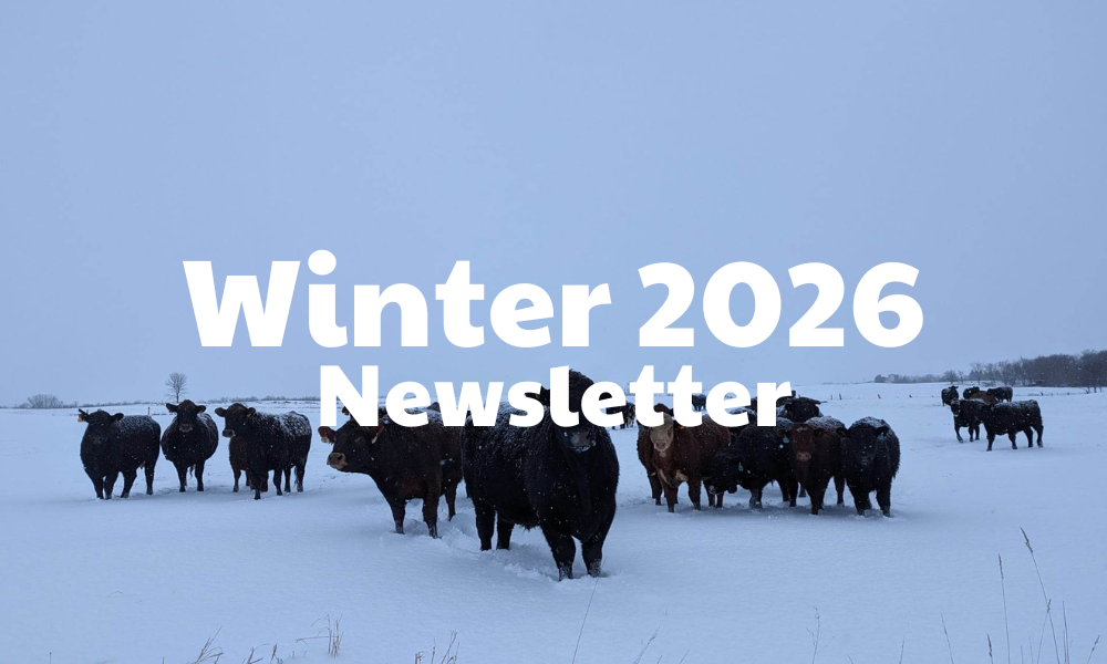 Winter 2026 Newsletter