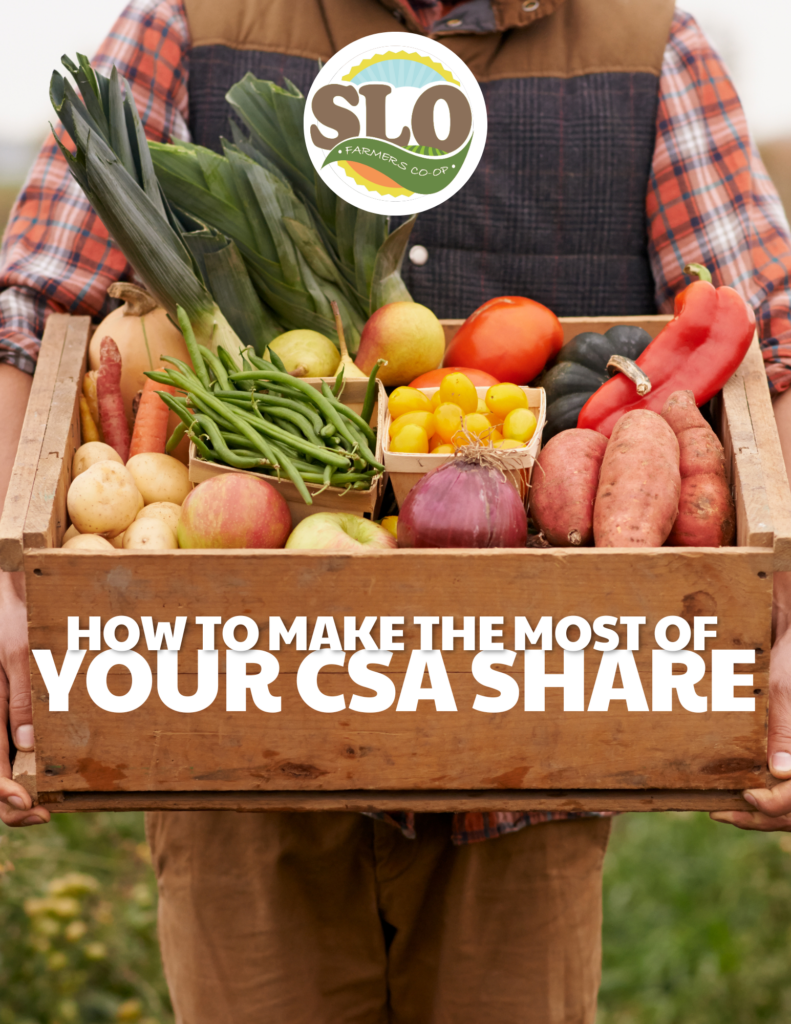 How to Make the Most of Your CSA Share