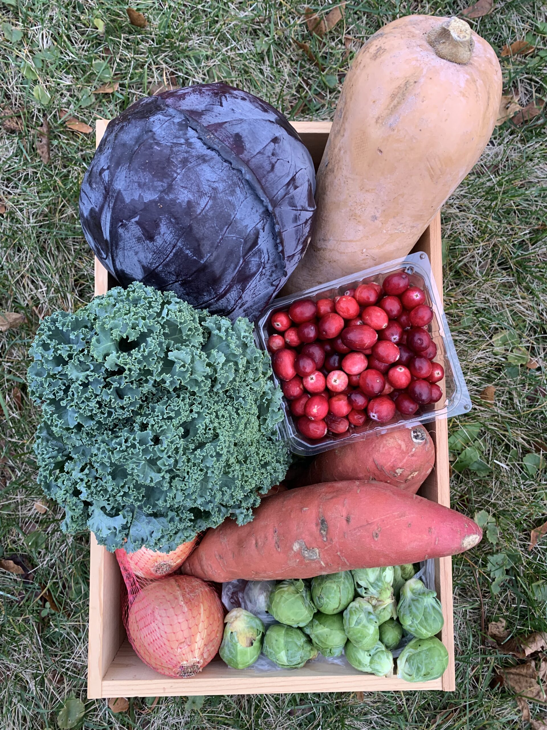 wooden box of fall produce: red cabbage, butternut squash, curly kale, fresh cranberries, yellow onions, sweet potatoes, and Brussels sprouts