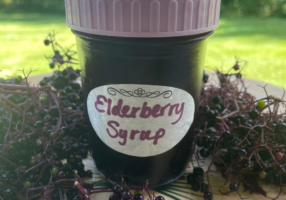Jar of elderberry syrup surrounded by elderberries on stems