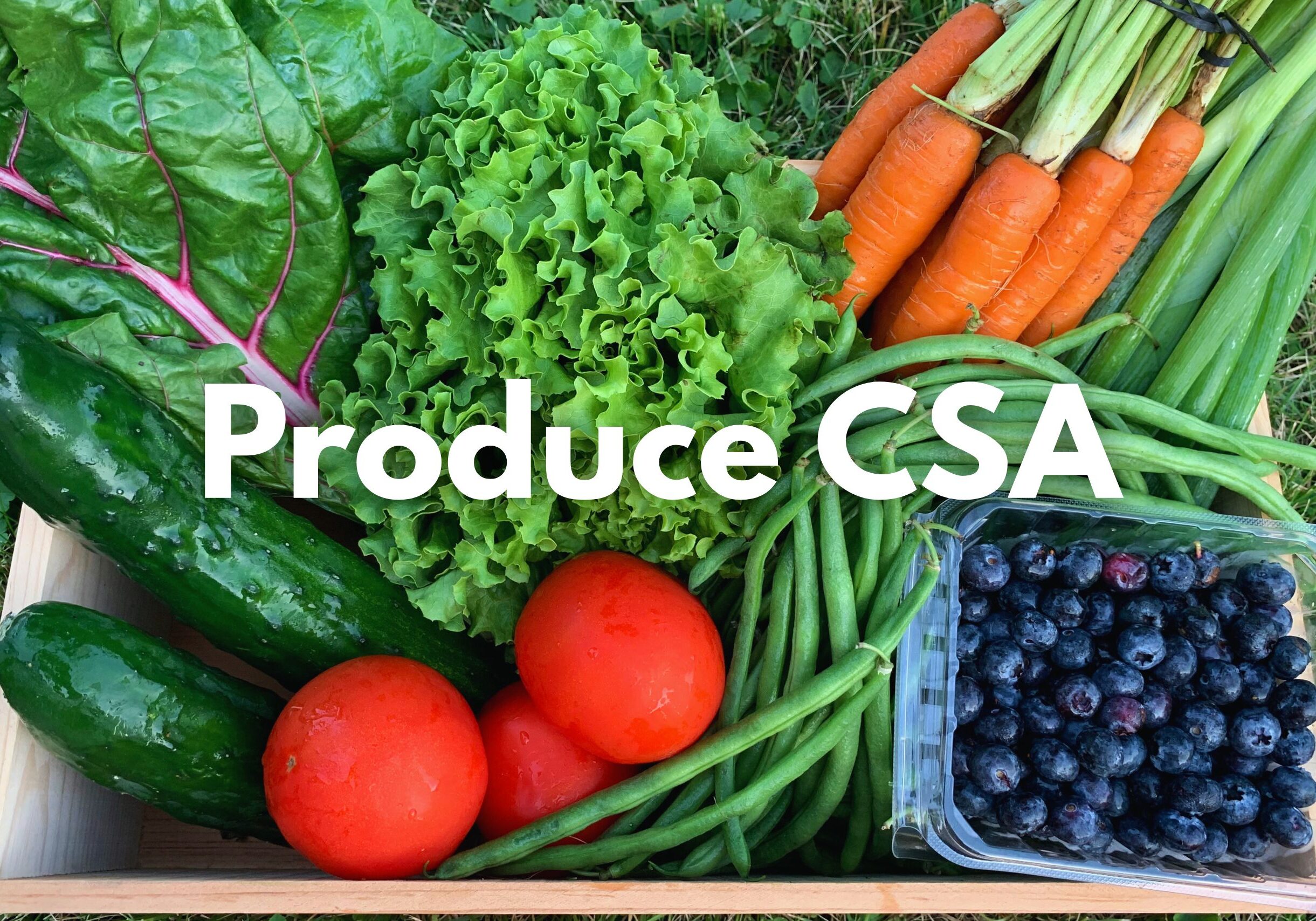 Produce CSA box with Swiss chard, lettuce, cucumber, tomatoes, green beans, carrots, green onions, and blueberries